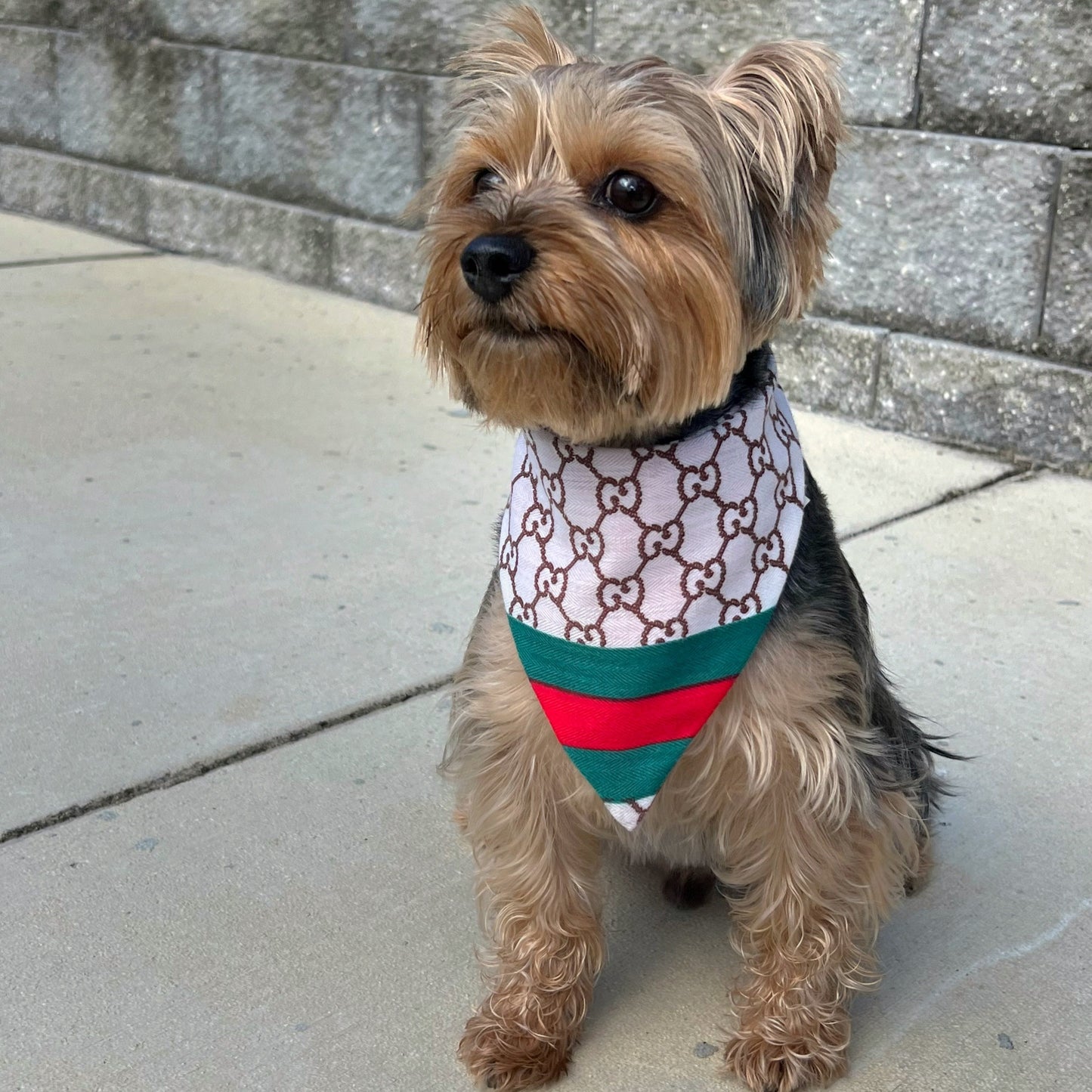 Gocci Luxe Reversible Bandana