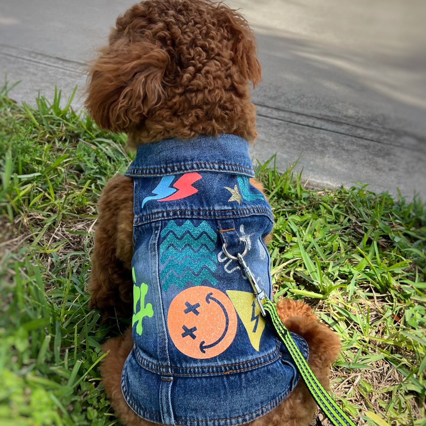 Handmade Denim Jacket Dog Harness – Electric Boy Edition