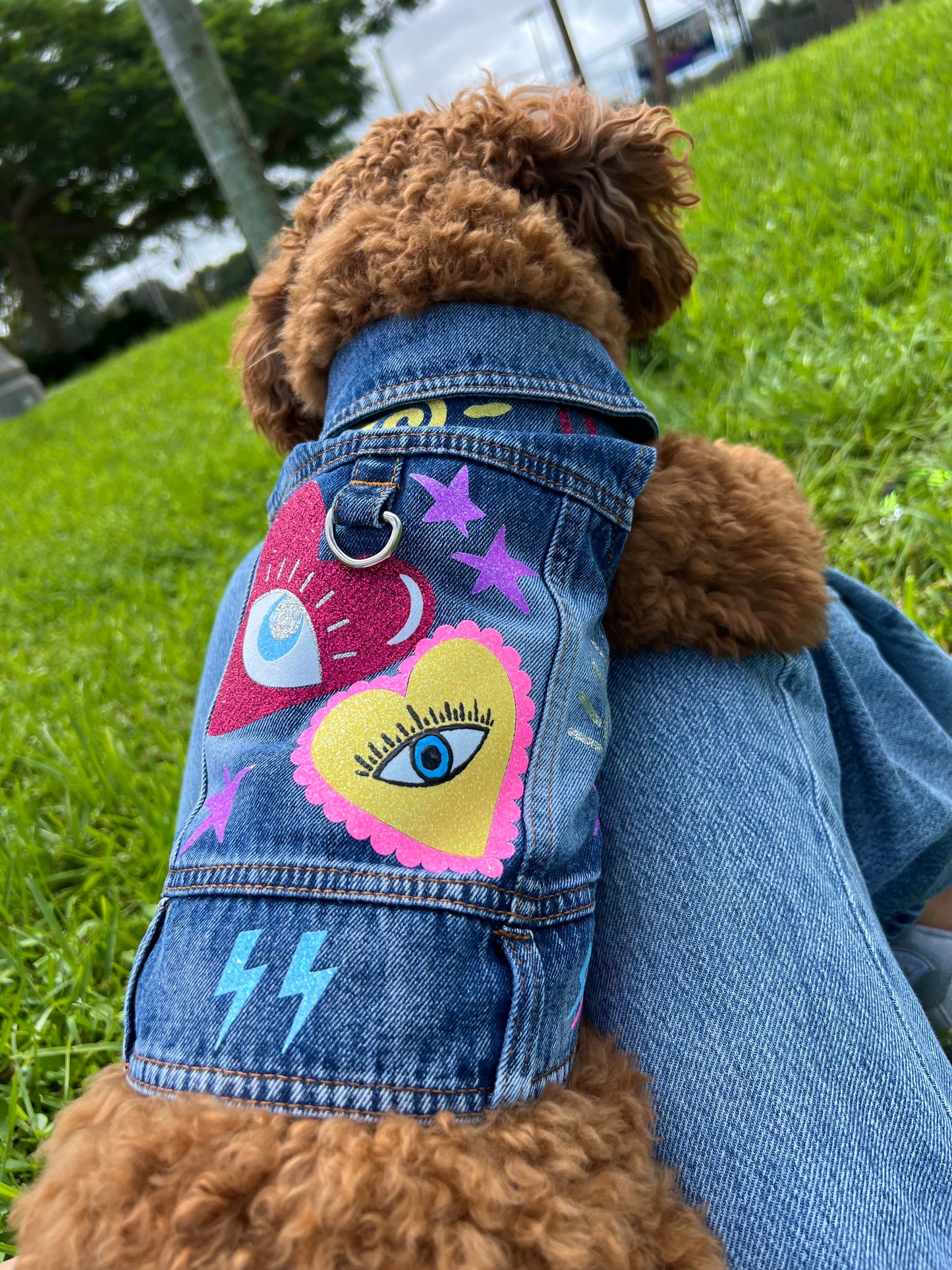 Handmade Colorful Denim Jackets for Small & Medium dogs - Sunshine Style