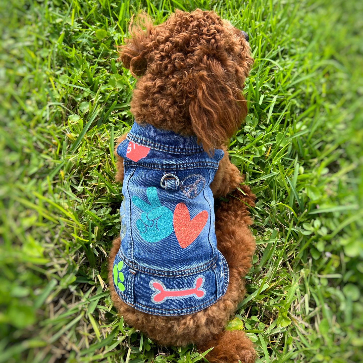 Handmade Denim Jacket Dog Harness – Peace & Love Boy Edition sizes S to L
