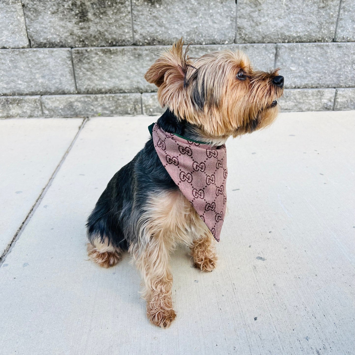 Gigi Luxe Reversible Bandana SIZE M