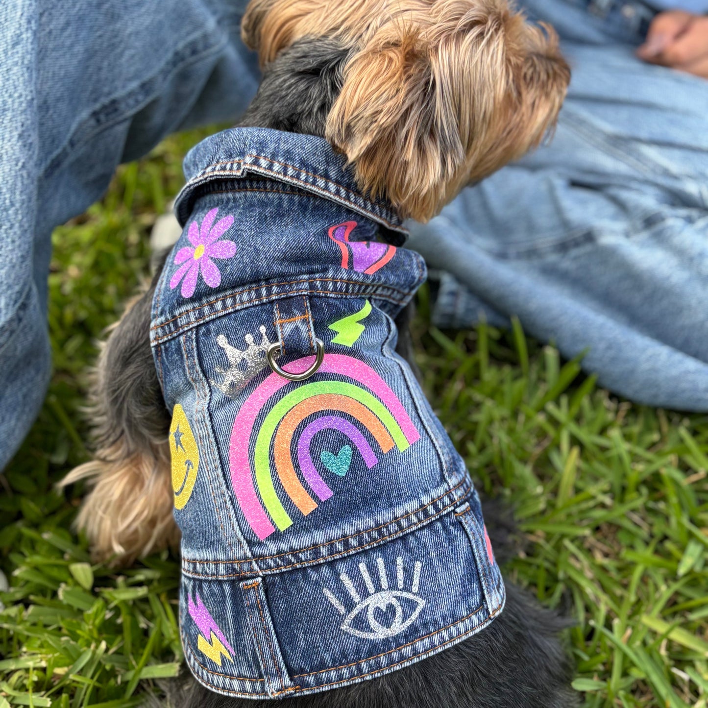 Neon Rainbow Denim Jacket-Style Dog Harness