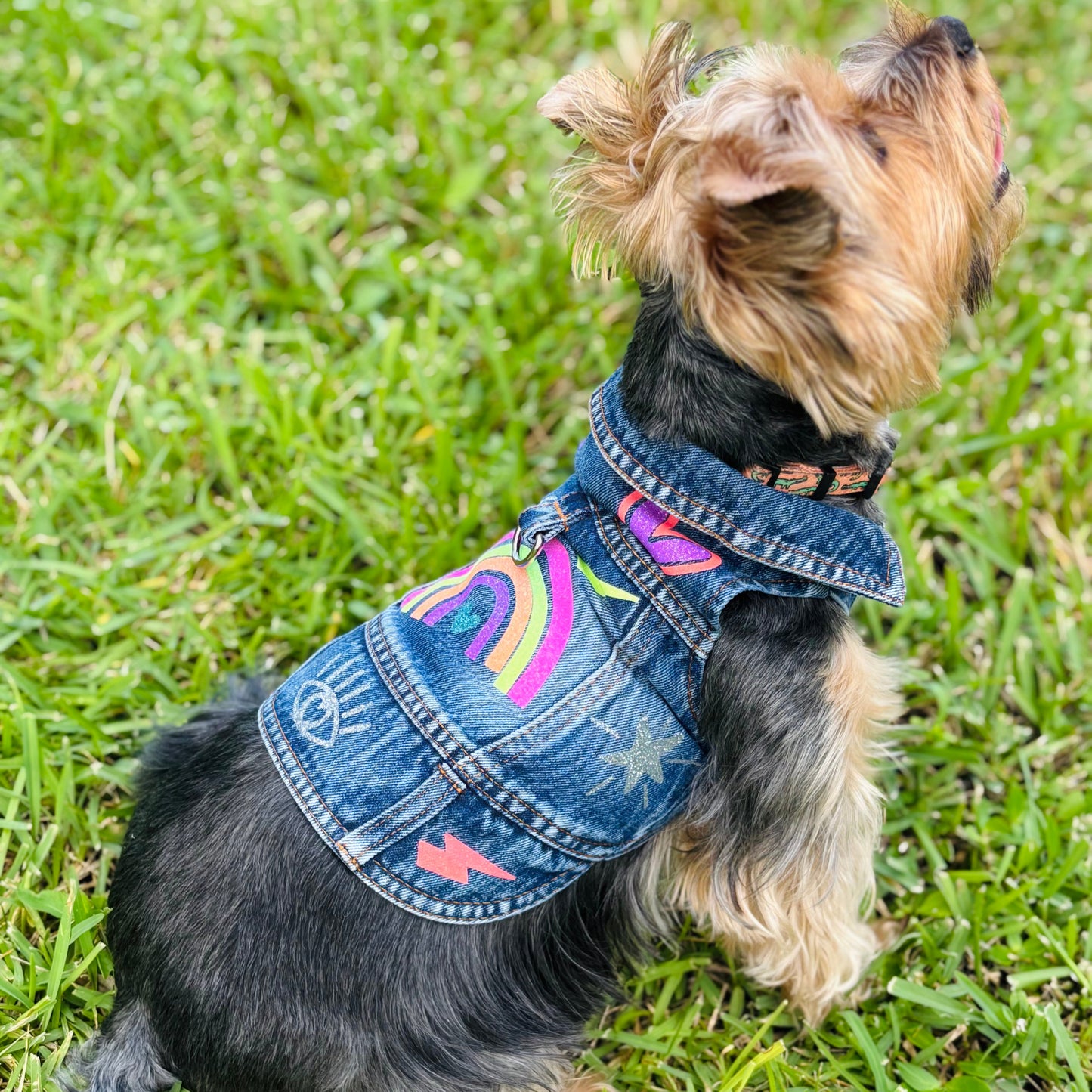 Neon Rainbow Denim Jacket-Style Dog Harness