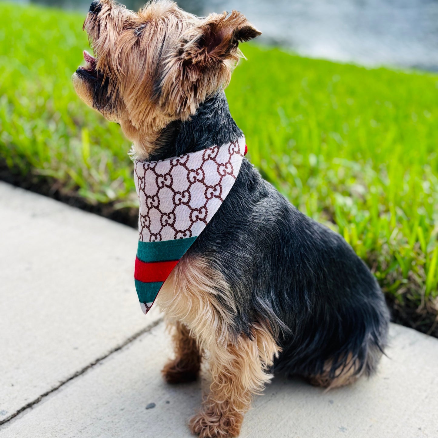Gocci Luxe Reversible Bandana