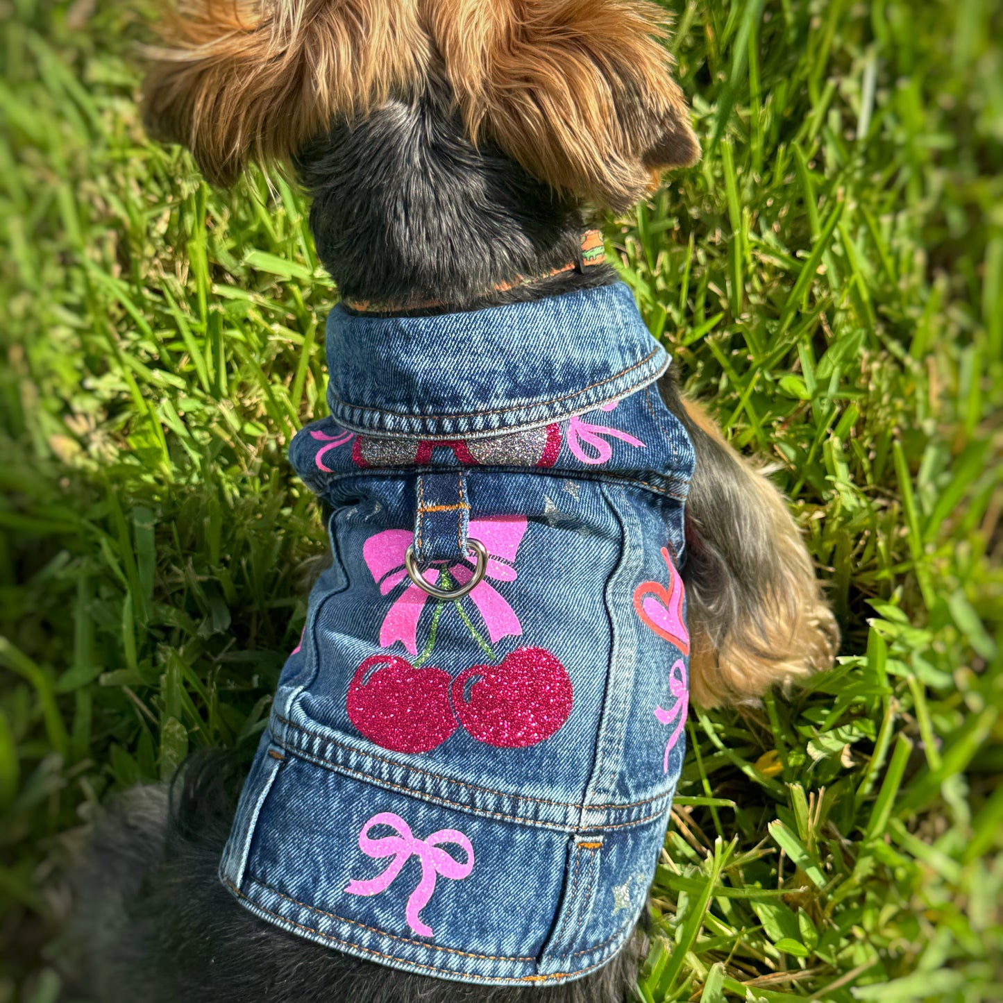 Handmade Dog Harness – Cherry Denim Jacket Style