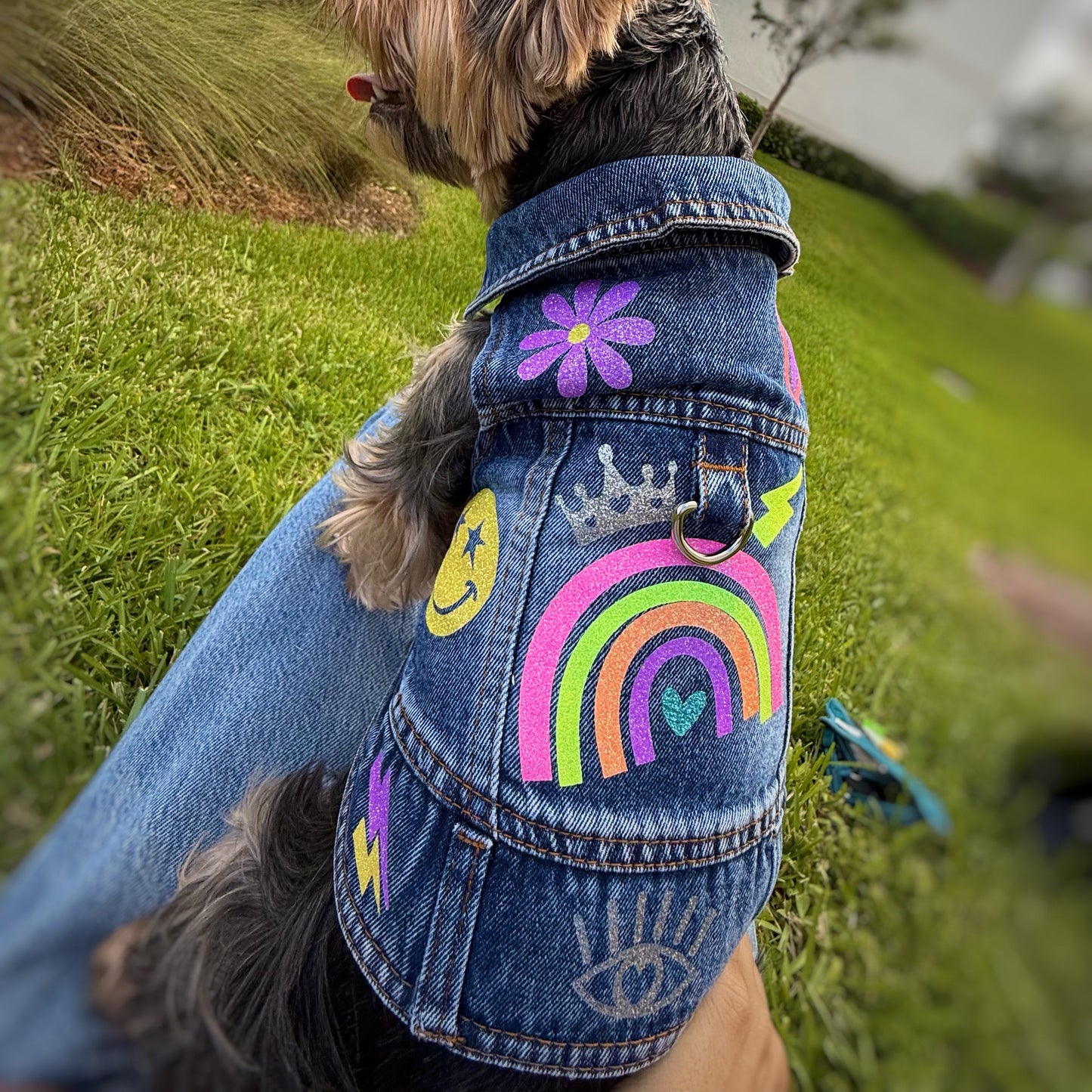 Neon Rainbow Denim Jacket-Style Dog Harness
