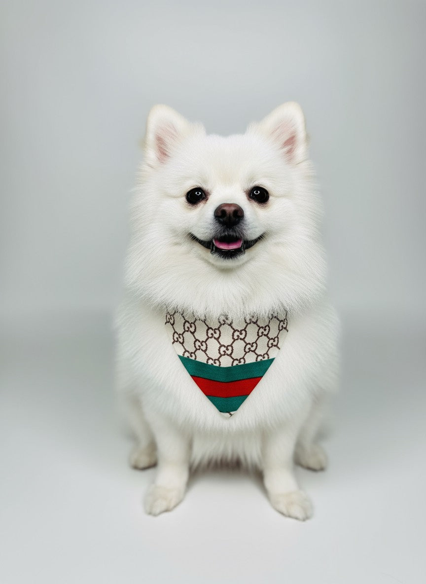Stylish Bandanas for Dogs