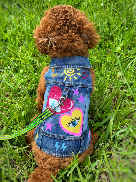Handmade Colorful Denim Jackets for Small & Medium dogs - Sunshine Style