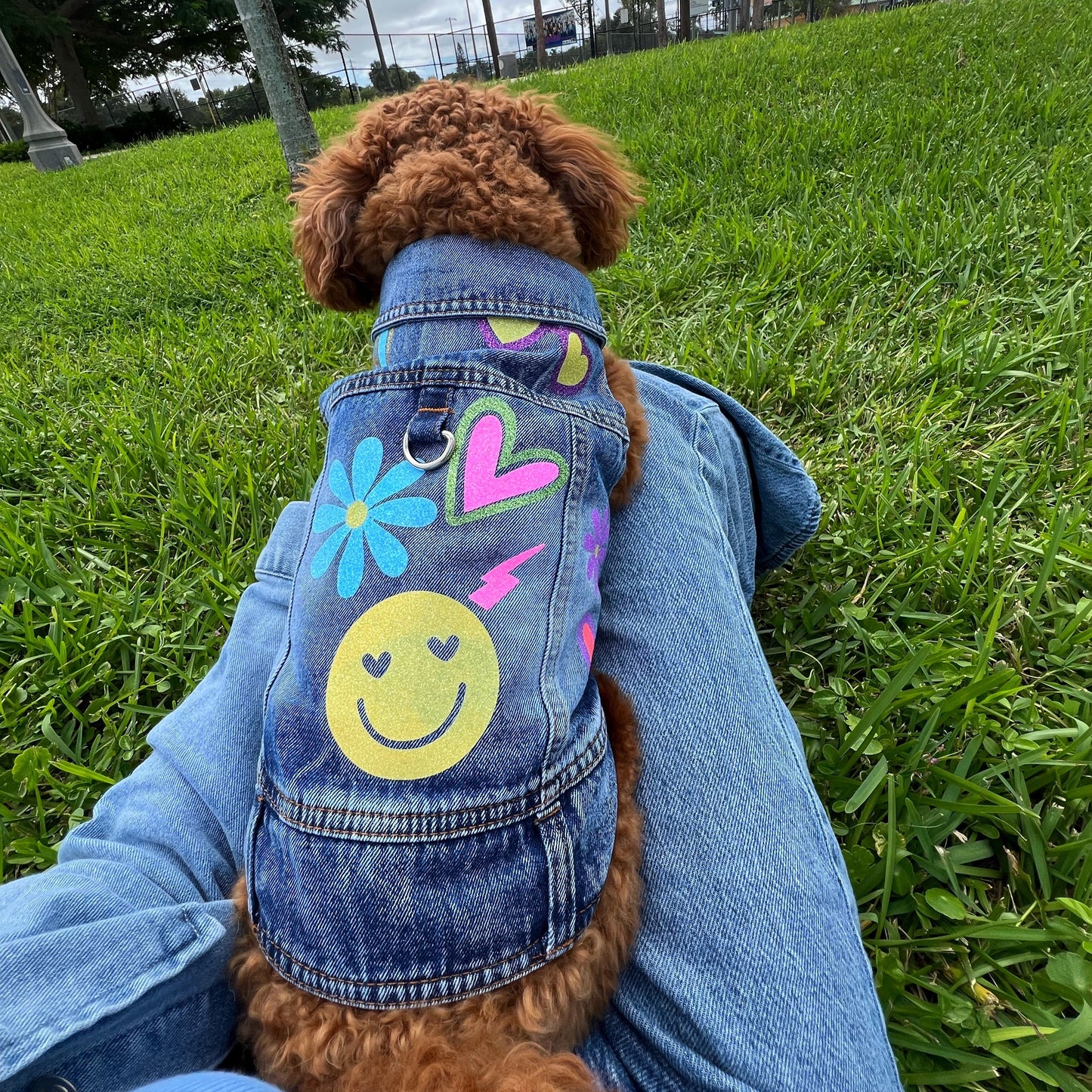 Handmade Jacket-Style Harness – Colorful Shine -Sizes S to XL