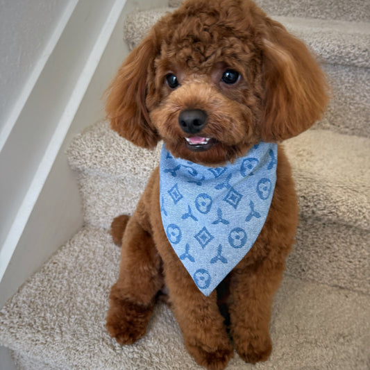 Doggy Vuton Reversible Bandana