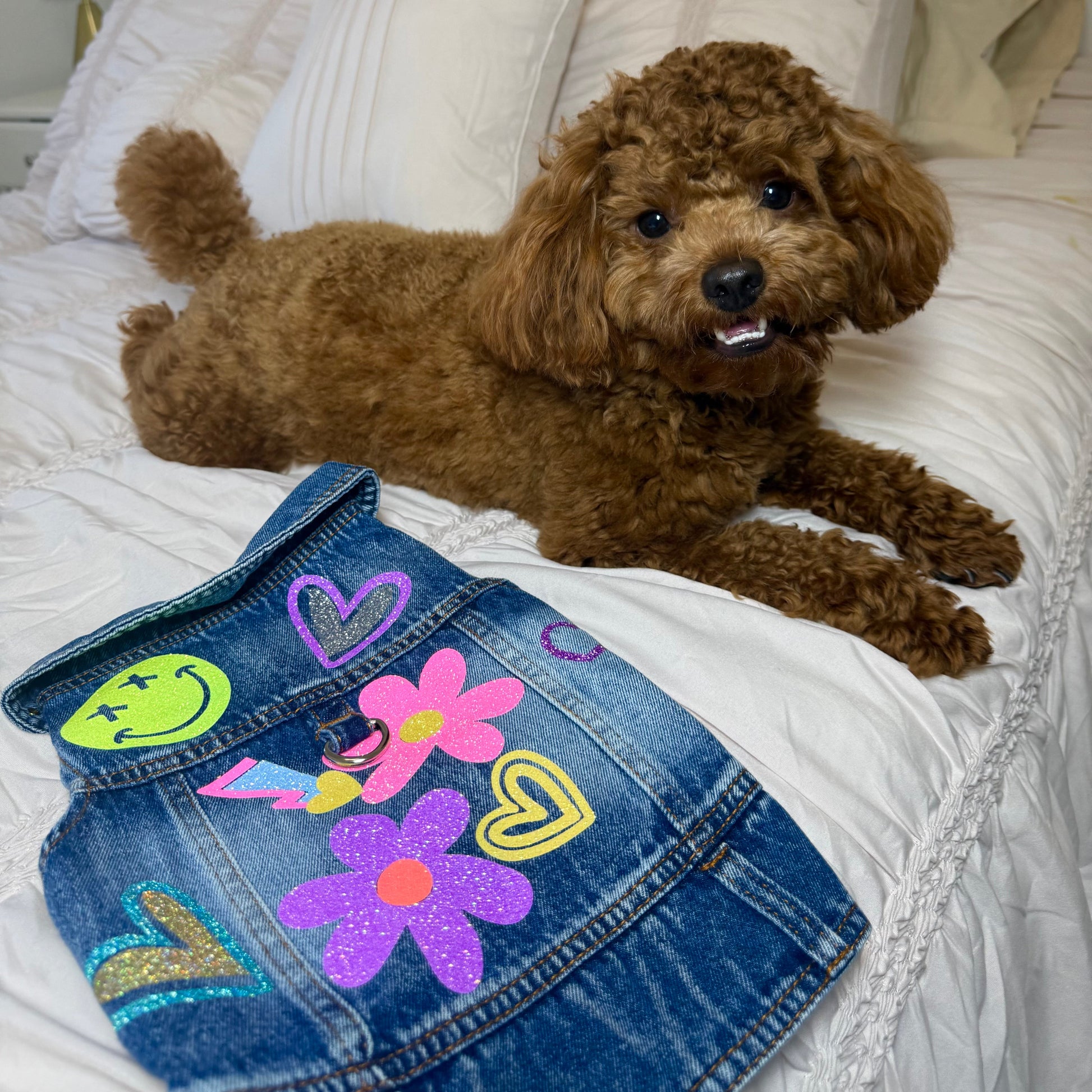 Dog clothes – sizes S, M, and L