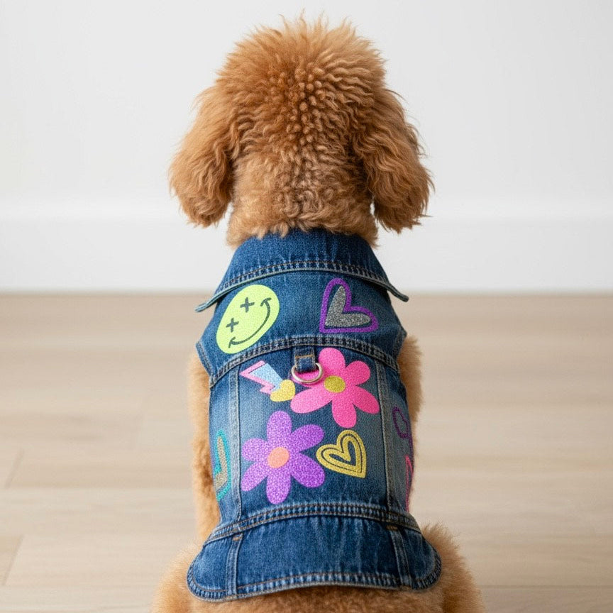 Small Poodle in a handmade jacket, ready for a walk.