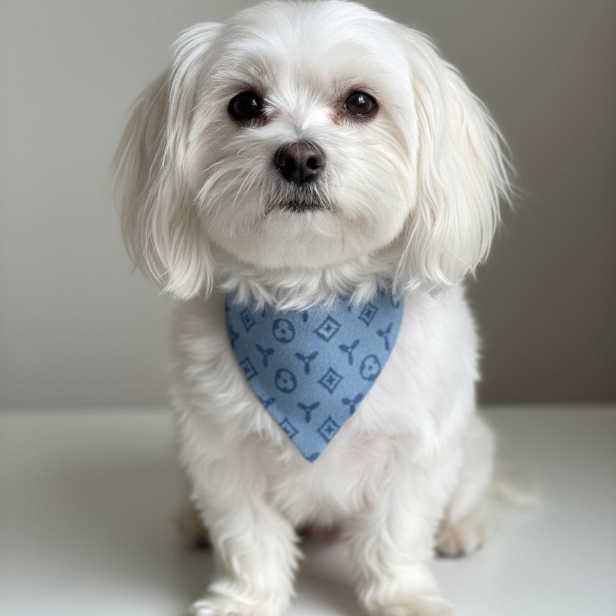 Maltese dog wearing a handmade luxury bandana with designer-style monogram print