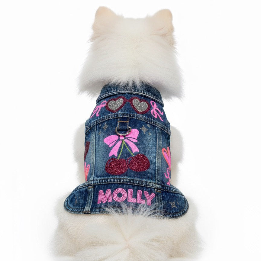 White Pomeranian wearing a denim jacket with cherry design, showing a playful style and comfortable fit