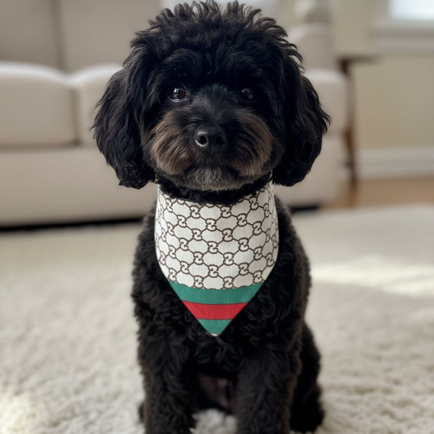 Reversible luxury dog bandana with elegant monogram design, shown on a black poodle