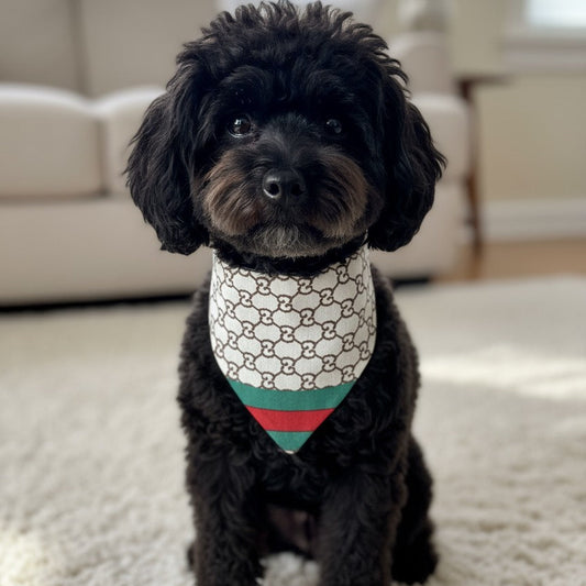 Reversible luxury dog bandana with elegant monogram design, shown on a black poodle