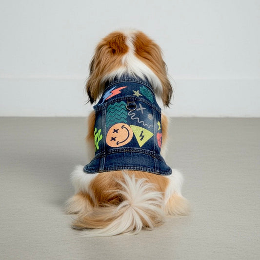 Handmade colorful denim harness in jacket style, modeled by a Pekingese dog