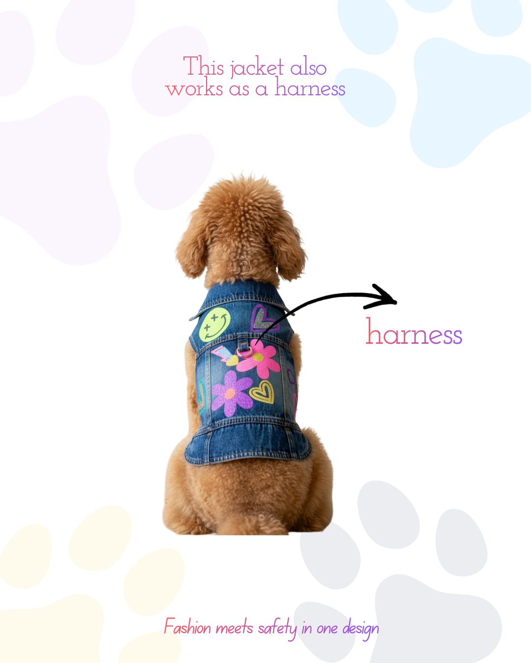 Poodle wearing a one-of-a-kind harness